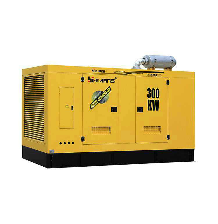 300KW diesel generator-5
