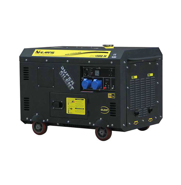 DG12000SE 10KVA silent two cylinder diesel generator total black